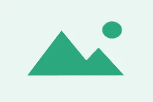 juttech Balance Transfer